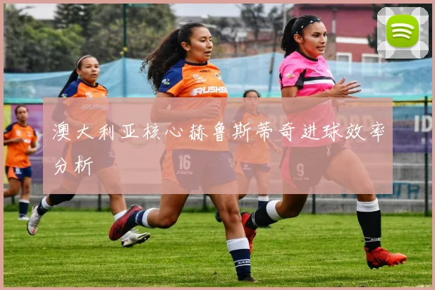 澳大利亚核心赫鲁斯蒂奇进球效率分析