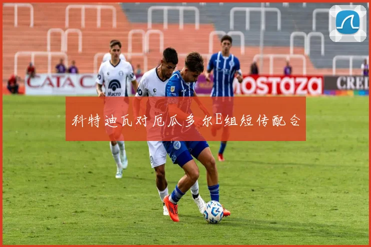 科特迪瓦对厄瓜多尔E组短传配合