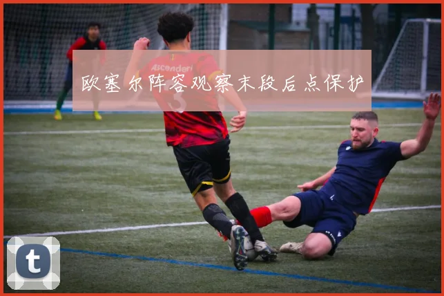 欧塞尔阵容观察末段后点保护