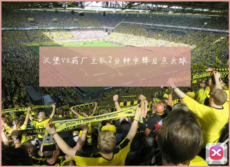 汉堡vs药厂主队2分钟中锋后点头球