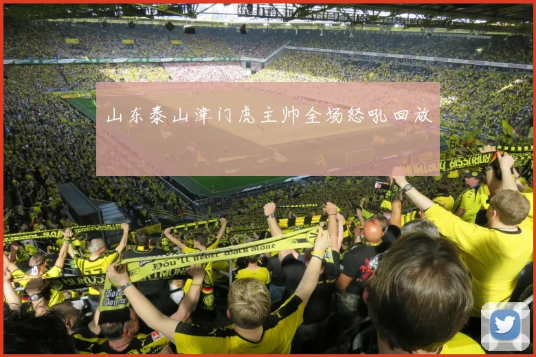山东泰山津门虎主帅全场怒吼回放
